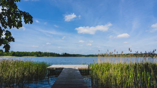 istock landing stage with view to lake Krakower See 1212560879