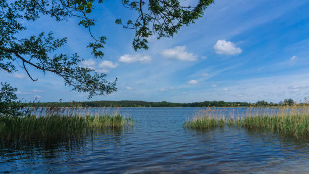 istock swimming spot at lake Krakower See 1212561069