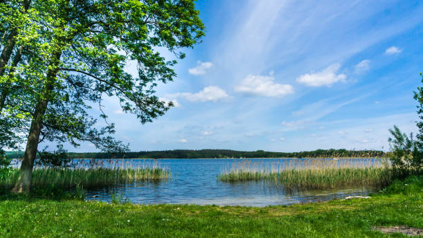 lugar de natación en el lago krakower see - grass lake fotografías e imágenes de stock