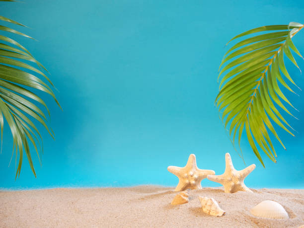 istock Summer holidays concept on beach with shells and starfish. 1212561384
