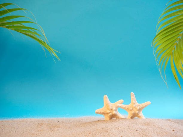 istock Summer holidays concept on beach with shells and starfish. 1212561398