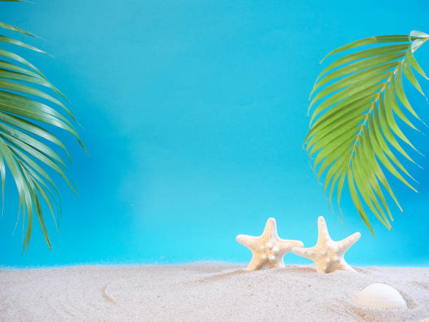 istock Summer holidays concept on beach with shells and starfish. 1212561411