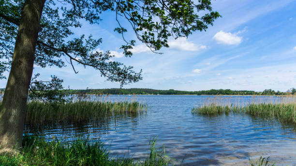 istock swimming spot at lake Krakower See 1212561418