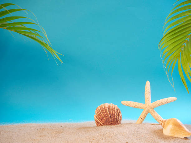istock Summer holidays concept on beach with shells and starfish. 1212561681