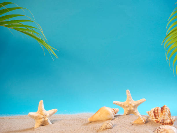 istock Summer holidays concept on beach with shells and starfish. 1212561731