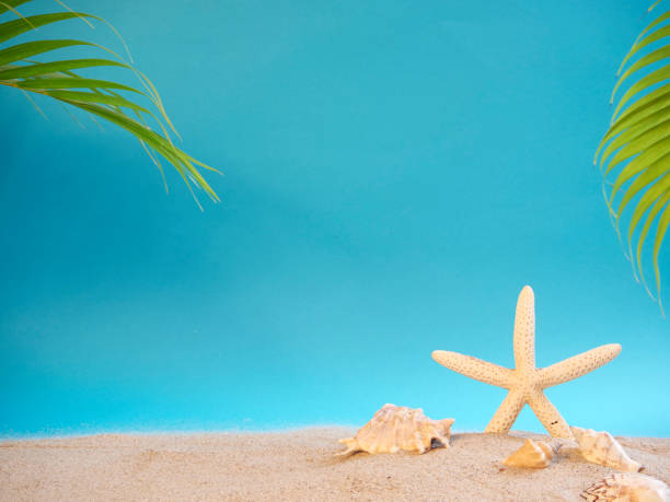 istock Summer holidays concept on beach with shells and starfish. 1212561931