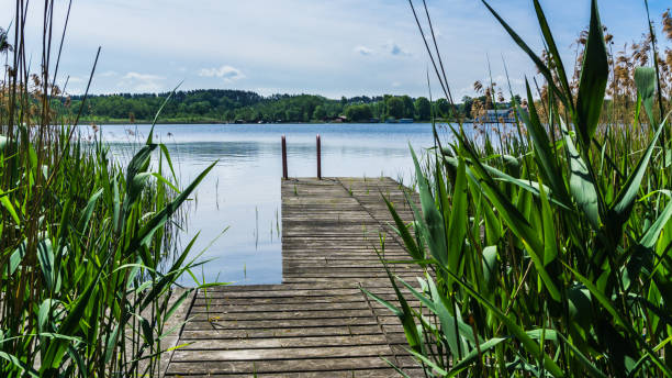 istock landing stage with view to lake Krakower See 1212561999