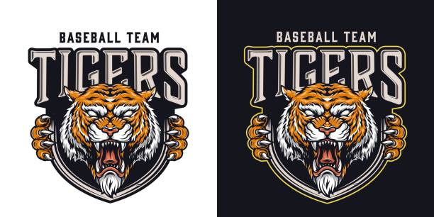 Vintage baseball team colorful logo Vintage baseball team colorful logo with cruel tiger mascot isolated vector illustration tiger mascot stock illustrations