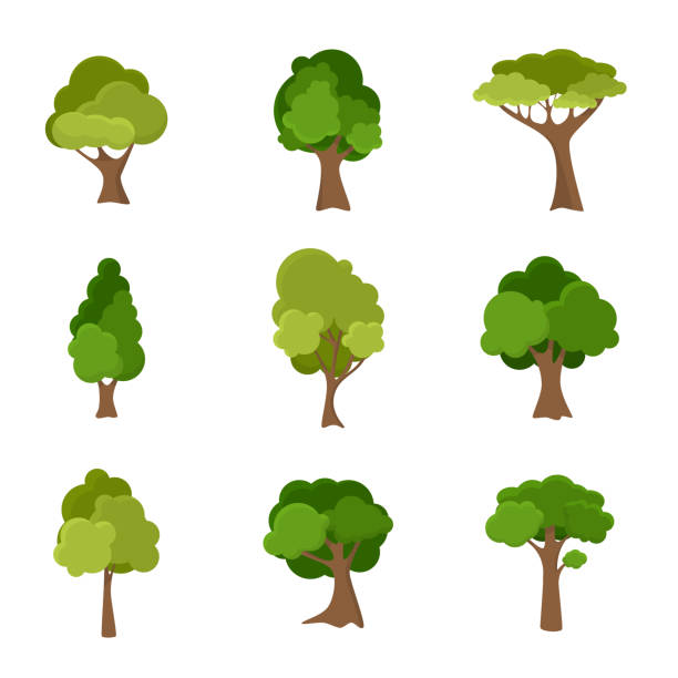 Variety of hand drawn deciduous trees illustration set Variety of hand drawn deciduous trees of different shades of green over white background vector illustration set. Nature saving and eco-friendly lifestyle concept tree crown stock illustrations