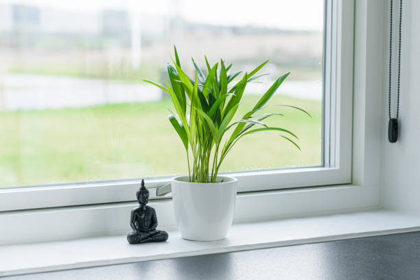 istock Green plant with a Buddha figure 1212565445