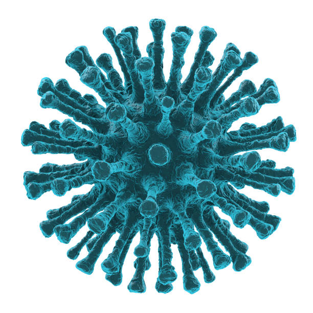 istock Microscope view of coronavirus Covid-19 isolated on white background. 3D rendering 1212566960