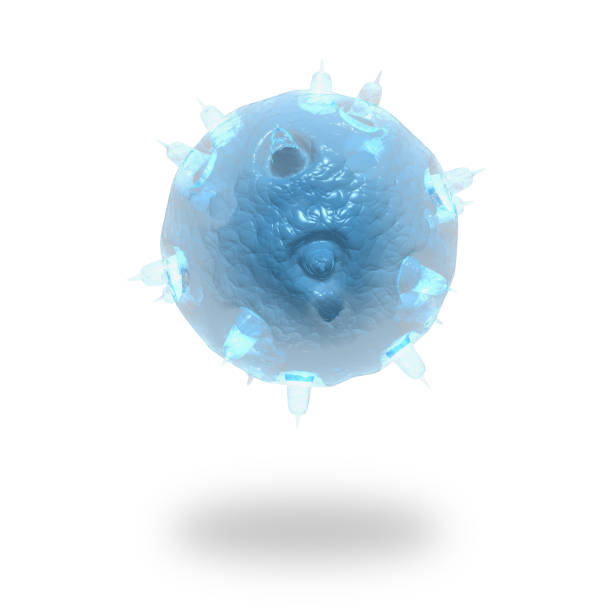 istock Cells, Viruses and Bacterias isolated on white background 1212567692
