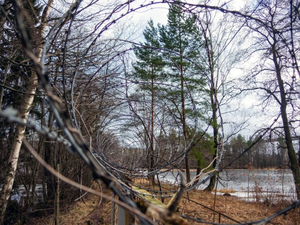 istock Fence with barbed wire rings on the river Bank on a spring day 1212568056