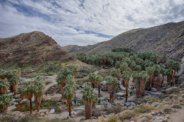 This group of canyons has trails for hiking & horseback riding, plus picnic areas & a gift shop.