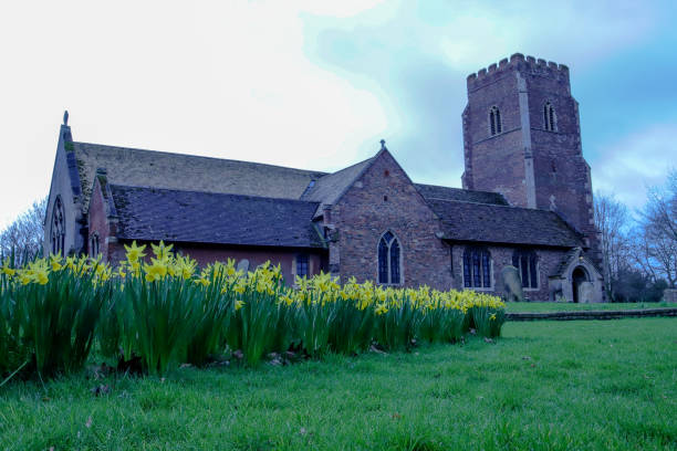 istock Yellow daffodil`s in front of church 1212569422