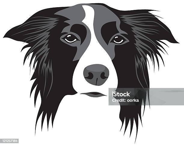 Border Collie Stock Illustration - Download Image Now - Border Collie, Collie, Animal
