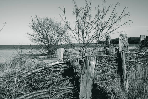 черно-белое фото, старая заброшенная изгородь на пляже у моря - sea black and white horizontal horizon over water стоковые фото и изображения