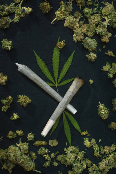 Cannabis background: Top view of marijuana joints and leaves surrounded by weed buds on black background. Cannabis background: Top view of marijuana joints and leaves surrounded by weed buds on black background. pitter stock pictures, royalty-free photos & images