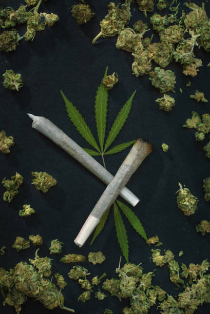 Cannabis Background Top View Of Marijuana Joints And Leaves Surrounded By Weed Buds On Black Background Stock Photo - Download Image Now - iStock Cannabis Background Top View Of Marijuana Joints And Leaves Surrounded By Weed Buds On Black Background Stock Photo - Download Image Now - iStock