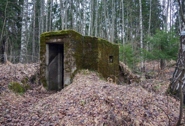 istock Ancient abandoned military fortifications. Boulders covered with moss, a beautiful forest in early spring. 1212574056