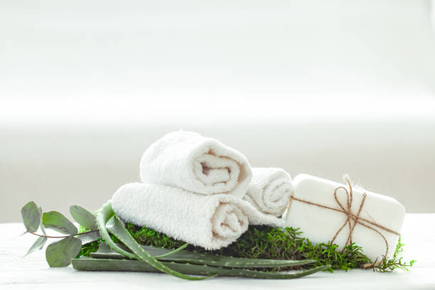 productos para el cuidado de la piel y aloe vera sobre fondo blanco. - body care make up spa treatment zen like fotografías e imágenes de stock