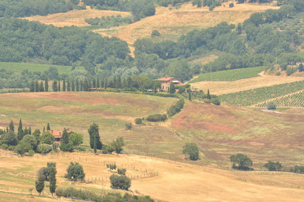 istock Beautiful Tuscan landscape with a winding cypress path, colorful fields, vineyards, olive trees on a sunny summer day. Italy. 1212574228
