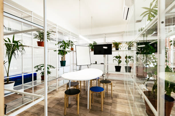 istock Modern empty eco-friendly office with plants and plastic free materials 1212574863