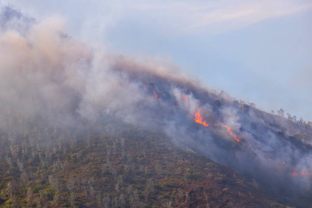 istock Dramatic wildfire with gale force winds on Lion's Head Mountain, Cape Town. 1212574921