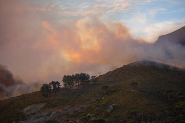 istock Dramatic wildfire with gale force winds on Lion's Head Mountain, Cape Town. 1212574923