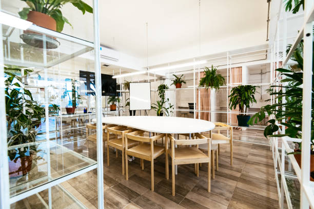 istock Modern empty eco-friendly office with plants and plastic free materials 1212575028