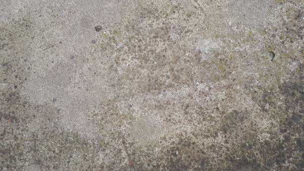 istock Texture of old gray concrete wall for background 1212577799