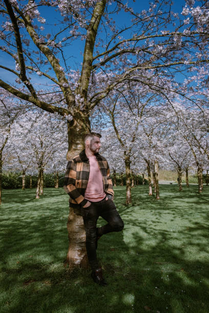 istock men walking in the public park in Amsterdam Netherlands during Spring with blooming cherry blossom trees 1212578512