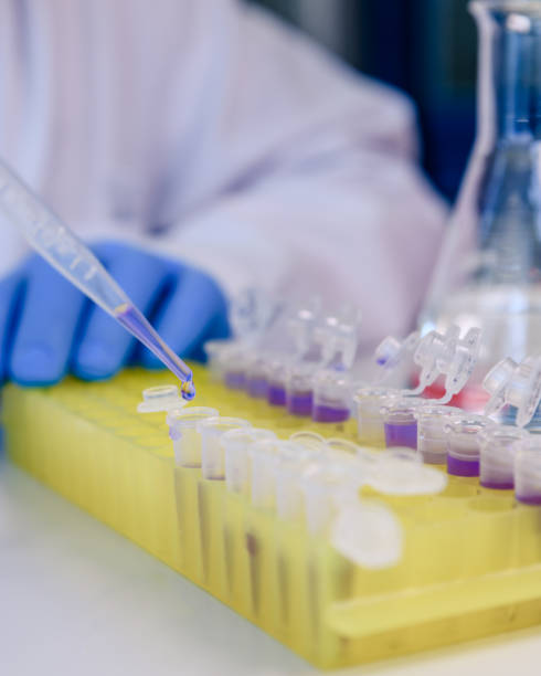 istock Scientist working with a pipette and a flask, in plastic tubes for DNA studies. Concept of science, laboratory and study of diseases. 1212579163