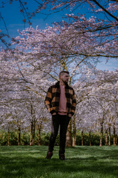 istock men walking in the public park in Amsterdam Netherlands during Spring with blooming cherry blossom trees 1212579680