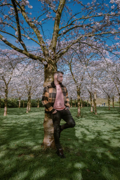 istock men walking in the public park in Amsterdam Netherlands during Spring with blooming cherry blossom trees 1212579843