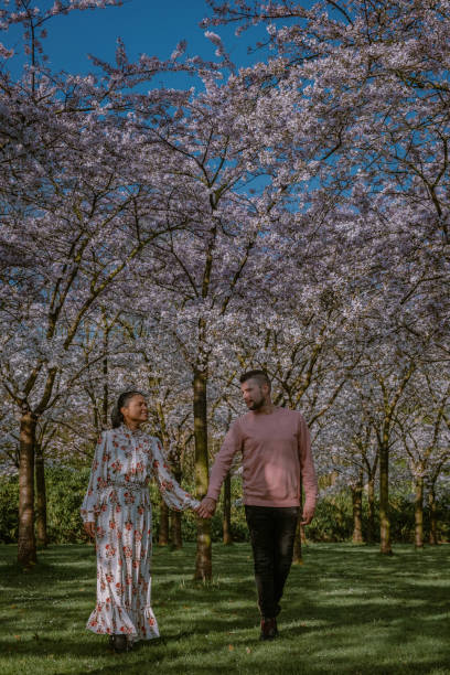 istock Couple relax in the park during Spring in Amsterdam Netherlands, blooming cherry blossom tree in Amsterdam, men and woman walk in park forest during Spring 1212580493