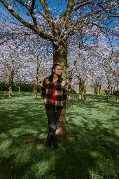 istock men walking in the public park in Amsterdam Netherlands during Spring with blooming cherry blossom trees 1212581530