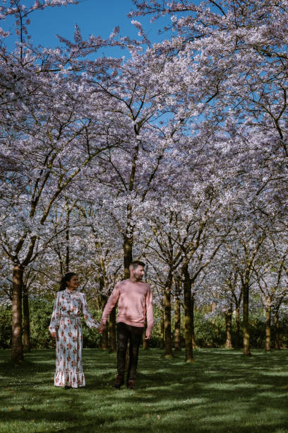 istock Couple relax in the park during Spring in Amsterdam Netherlands, blooming cherry blossom tree in Amsterdam, men and woman walk in park forest during Spring 1212582676
