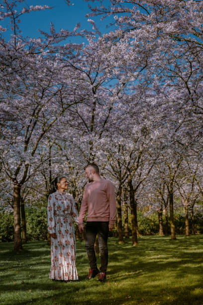 istock Couple relax in the park during Spring in Amsterdam Netherlands, blooming cherry blossom tree in Amsterdam, men and woman walk in park forest during Spring 1212583678