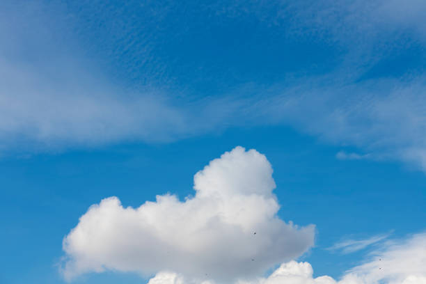 Beautiful blue sky and close-up white clouds.  Nature background.