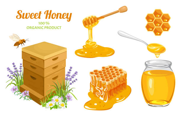 ilustrações de stock, clip art, desenhos animados e ícones de honey set. wooden beehive, honeycombs, bee, honey in glass jar, honey dripping from wooden dipper, honey in metal spoon isolated on white. vector illustration of natural sweets in cartoon flat style - activity animal bee beeswax