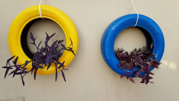 Recycled flower pots made from two old car tires painted in yellow and blue colors. Houseplants are growing in hanging flowerbeds on wall. Reused tyres with purple branches of plants inside. stock photo