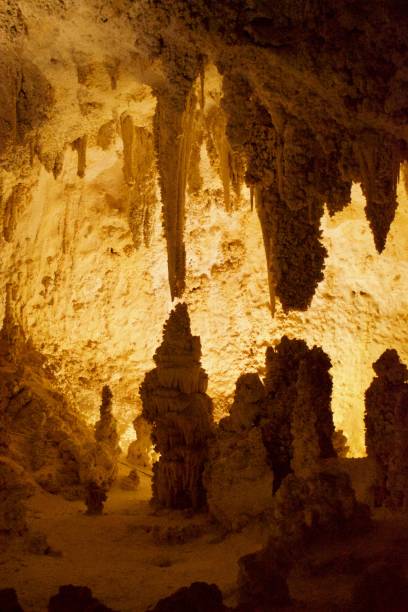 istock Multiple stalactites and stalagmites close to forming a column, inside Carlsbad Carven New Mexico, with yellow white light 1212591377