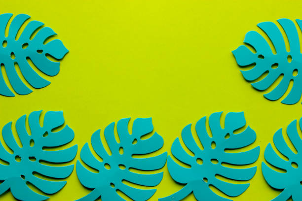 istock blue paper monstera leaves on a yellow background with space for text 1212594175