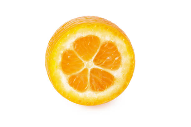 kumquat slices isolated on a white background