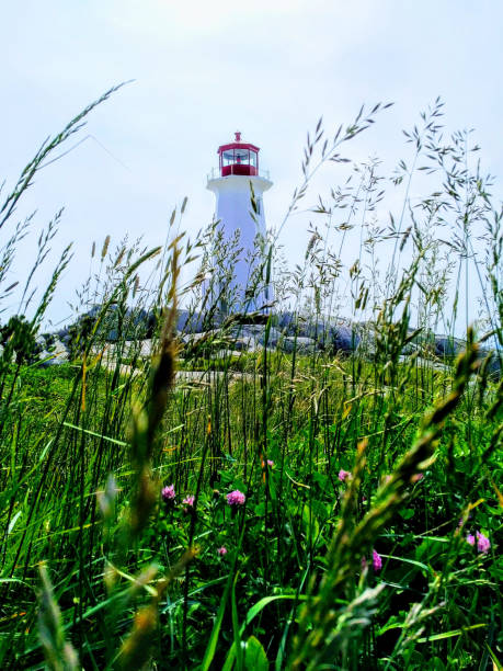 istock Lush Lighthouse at Peggy's Cove 1212597614