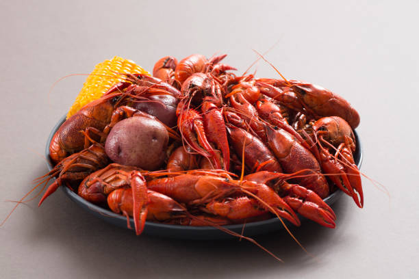 pikantne langusty w luizjanie - crayfish new orleans cajun food louisiana zdjęcia i obrazy z banku zdjęć