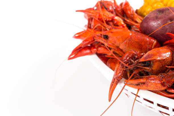 istock Spicy Louisiana Boiled Crawfish 1212598529