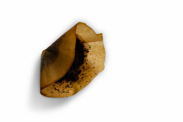 Used coffee filter in close-up on white background.