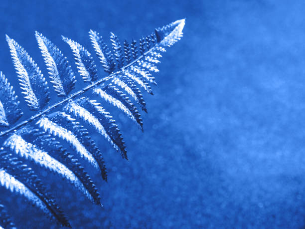 istock Glitter classic blue shiny background with branch 1212603130
